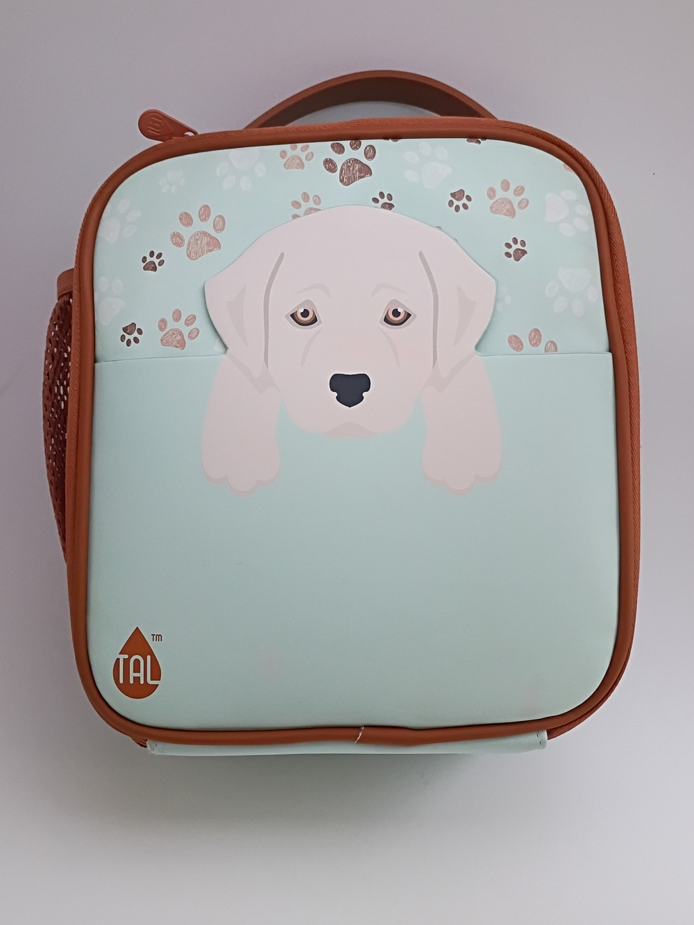 TAL Light Mint Puppy Dog Lunch Bag with Brown Trim